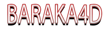 BARAKA4D Logo